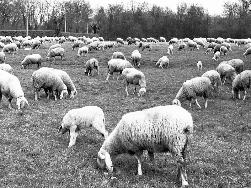 Pausa pranzo di utente cancellato