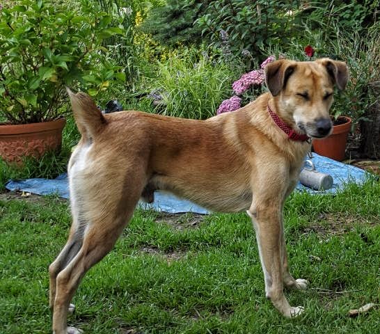 DSCF2448.JPG