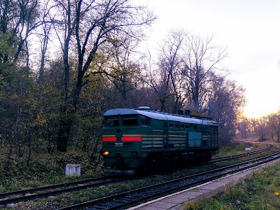 Photos of Korneshti