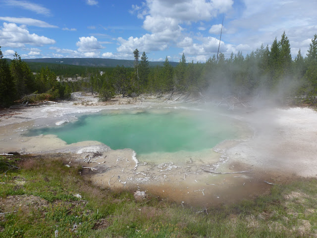 PN Yellowstone. Madison. Valle río Gibbon. Norris Geyser Basin. 12 Julio - LAS ROCOSAS DE CANADA. YELLOWSTONE Y GRAND TETON. (18)