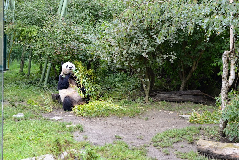 Австрия в ритме осеннего вальса (05.09.14-16.09.14)