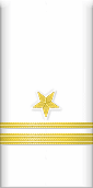 파일:external/uniform-reference.net/usn_sl_wave_61_ltjg.png