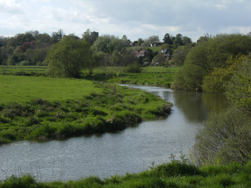 1005030029 River Arun at Pulborough Brooks