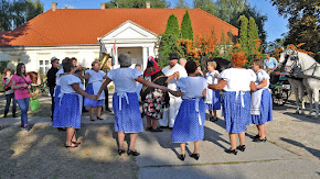 Jákó Szüreti Felvonulás 2015