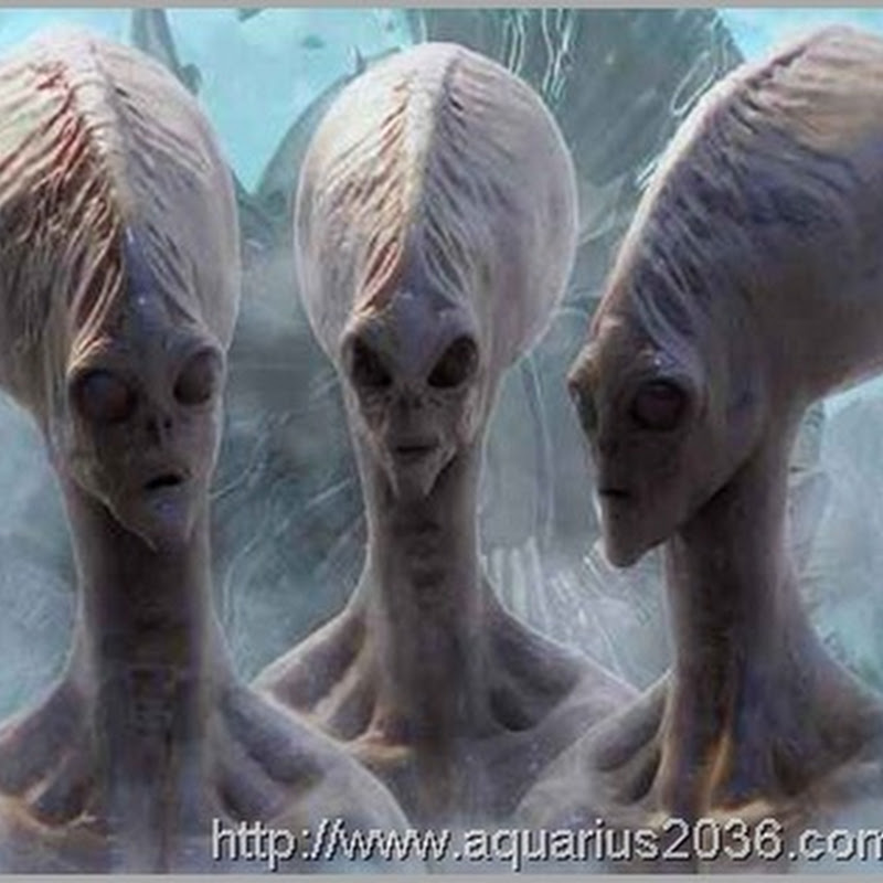6 Espécies Extraterrenas que atualmente lutam pelo controle da Terra