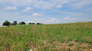 terrain à Dompierre-sur-Mer (17)