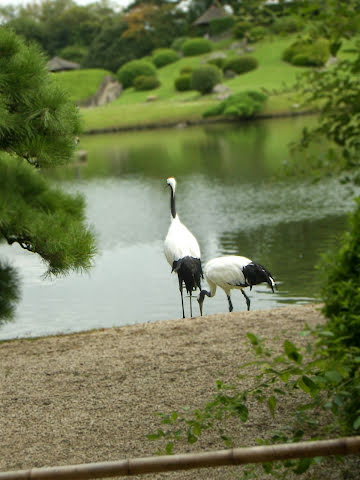 背景と前景をぼかす