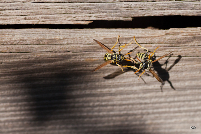 Один мой день.