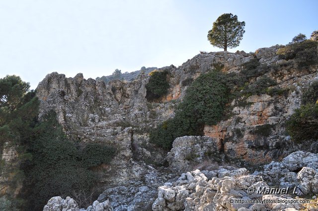 Subida al Peñón Grande de Grazalema