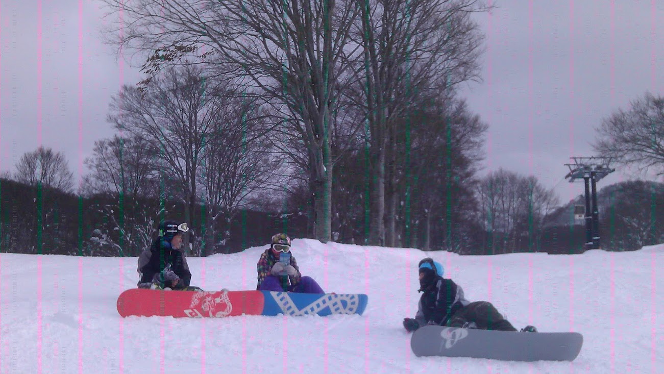 nozawa onsen tour