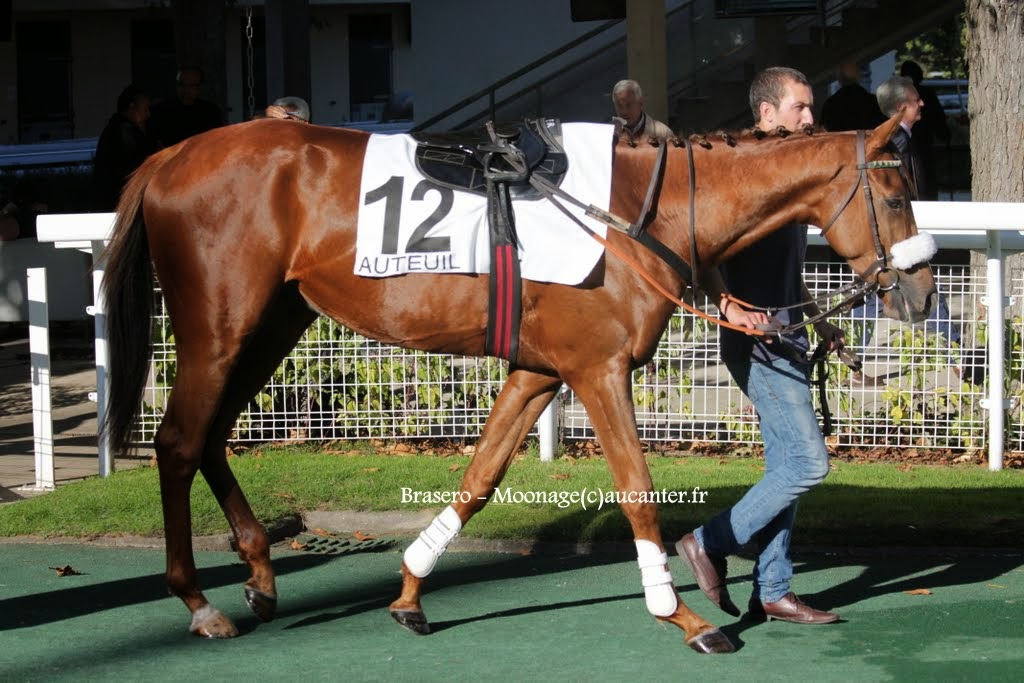 Photos Auteuil 18-10-2014 IMG_5053