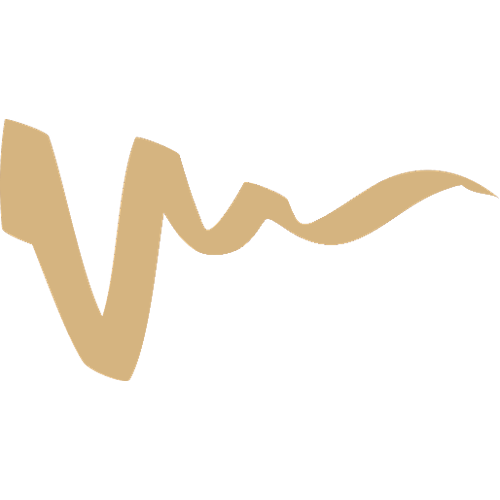 VELASQUEZ COIFFURE logo