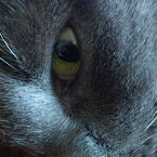 One of my darlings: Alexis! DSC_2107.JPG