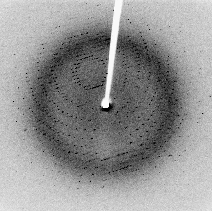 파일:diffraction pattern.jpg