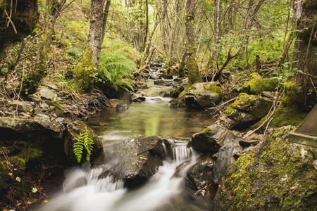 Ruta de las Fuentes (27)