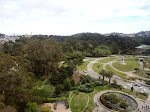 The view from the De Young Tower is pretty great