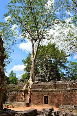 Rozando el éxtasis entre Dubai-Camboya y Vietnam - Blogs de Vietnam - LA JOYA DE ANGKOR-CIRCUITO CORTO (12)