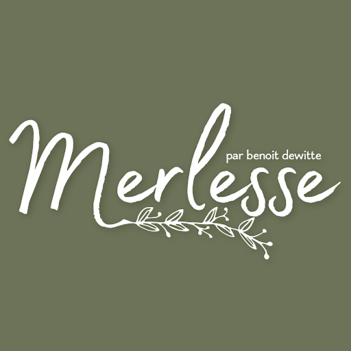Merlesse logo