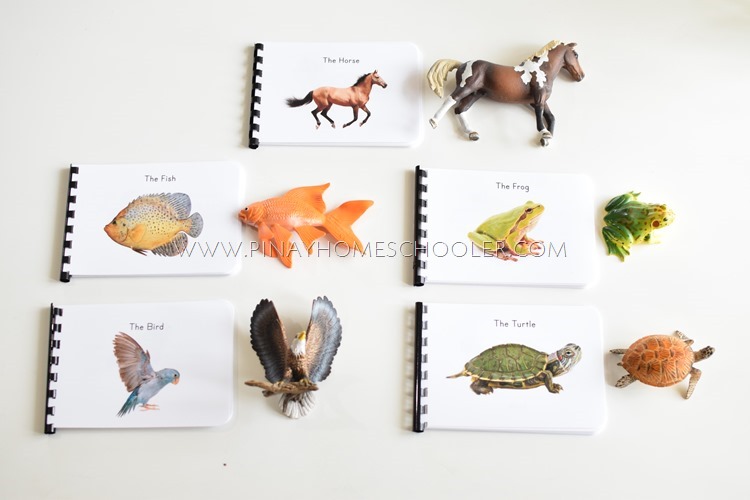 A Walkthrough of Animal Study for Preschoolers