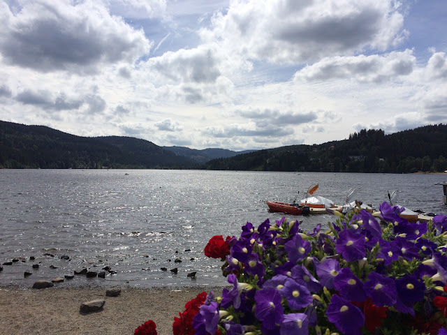 Martes 28 julio. Todnau, Titisee, Triberg - Baviera, un paraíso cercano (9)