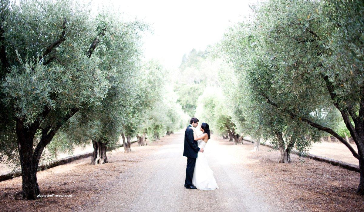 Elegant Blue and Brown Wedding