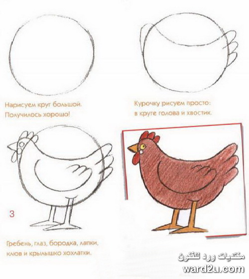 رسم الحيوانات بطريقه مبسطة للاطفال Www.ward2u.com-draw-4