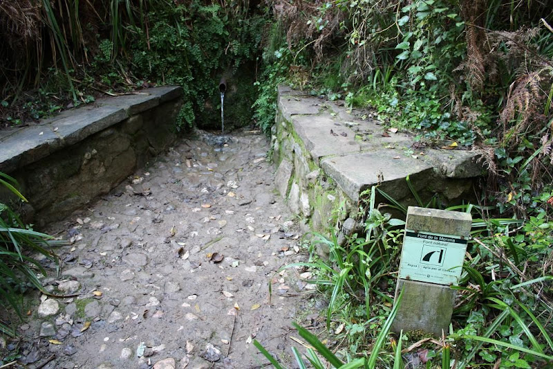 Font de la Moreria