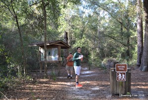 Stop 2 - Lower Wikeva River Preserve