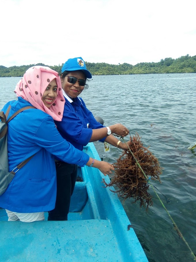 Kerjasama DPD KNPI dan Kelompok Pemuda