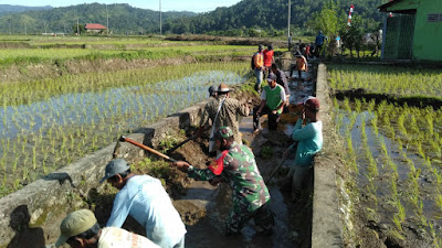 Babinsa Koramil 16/Tangse Bersikan Saluran Untuk Persawahan