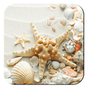 Seashell Live Backgrounds 1.1.5 Icon