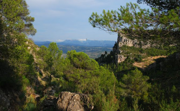 Paisatge del Priorat.jpg