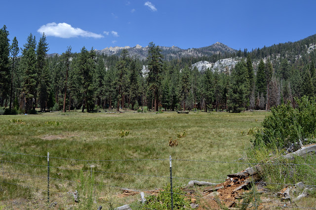 meadow with more buildings