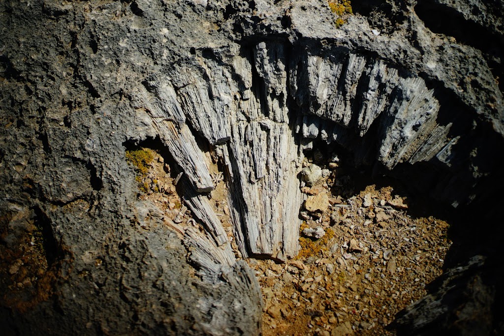 Washington Slagbaai National Park, Bonaire