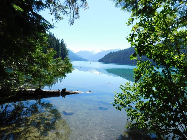 C113_CAN BC Garibaldi PP Cheakamus Lake Hike_2018-08-07_DSCN2098