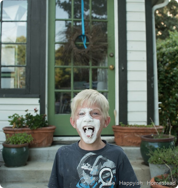 DSC_0684 DSC_0684