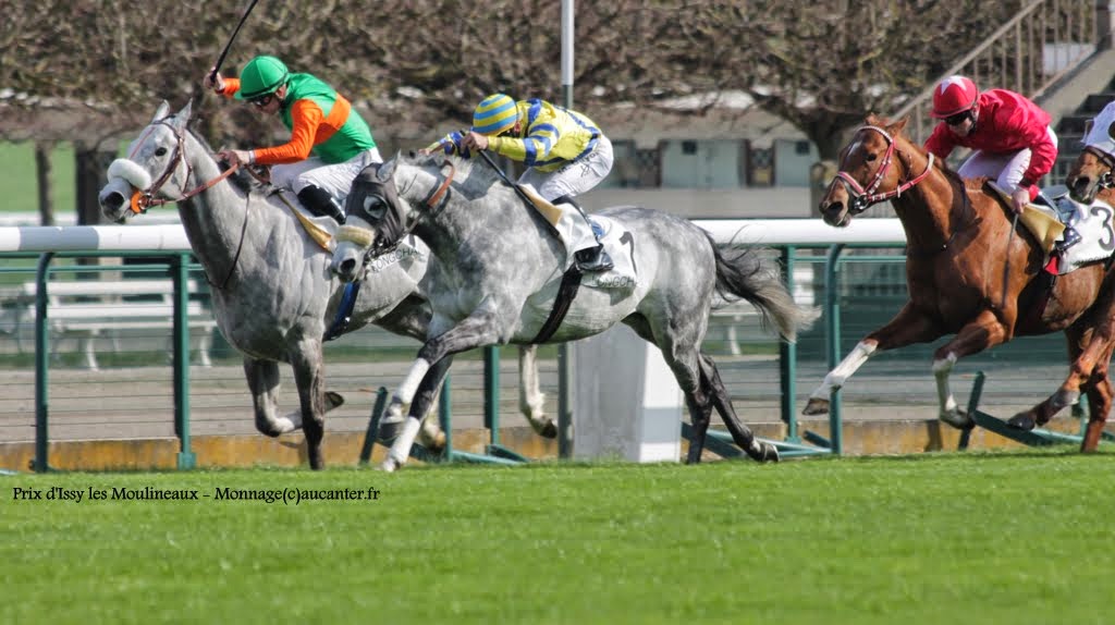 Photos Longchamp 6-04-2015  - Page 2 IMG_8068