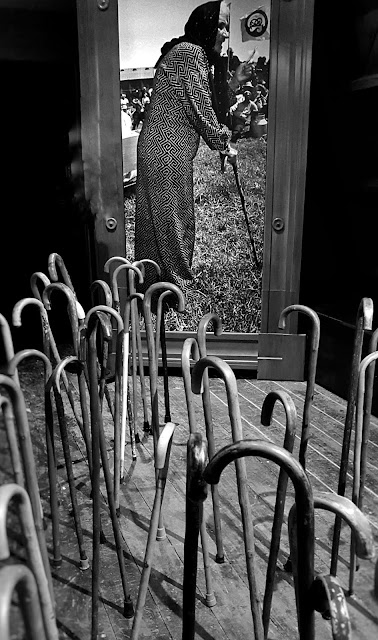 Photo of Māori Land March Walking Sticks installation at Wellington's Museum Of City And Sea