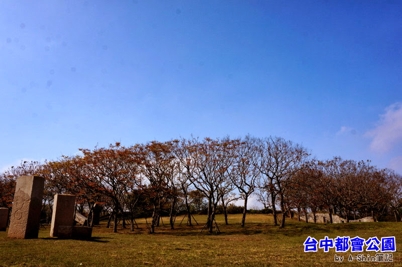 台中都會公園|走！跟阿新一起去台中都會公園踏青去~~這裡可是悠哉的很