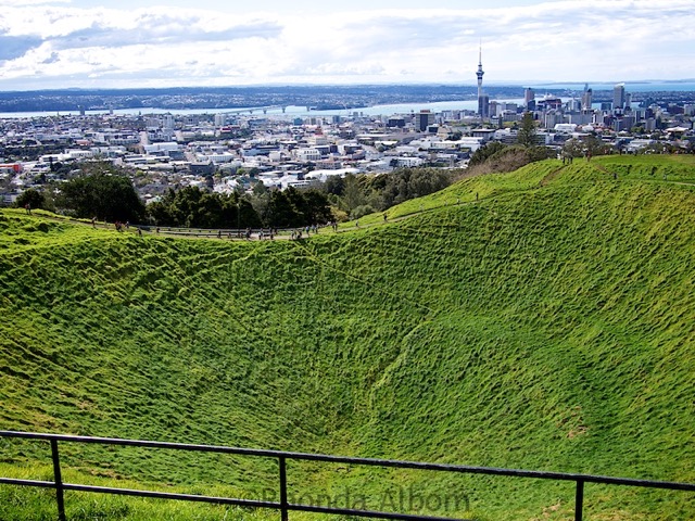 Choosing Your Own Travel: Local Travel Writer on the Best of Auckland