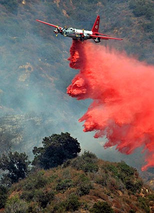 P2waterbomber.jpg