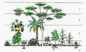 Maharani Agribisnis Agroekosistem