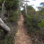 Track to Golf Links Lookout (186282)