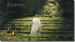 DarkSoulsII 2017-01-10 16-31-04-49