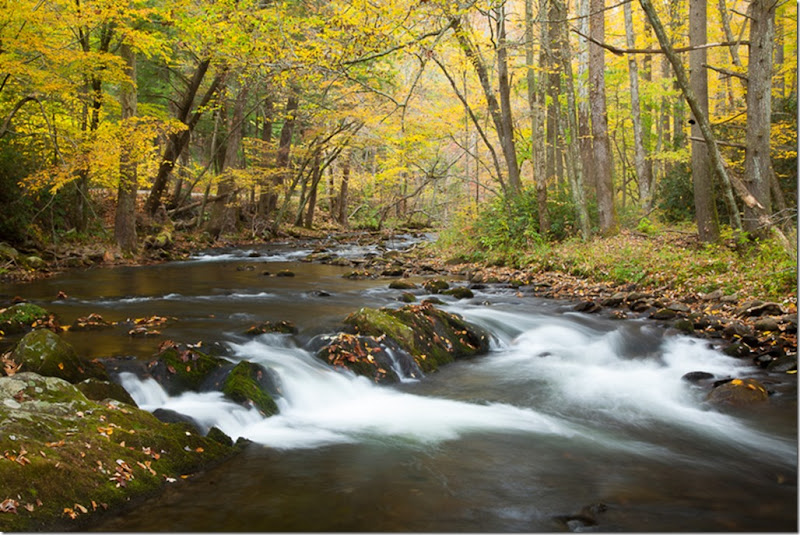 Fall_Color_Cabon_Great_Smoky_Mountains_Photo_Tour_Workshop-7952