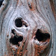Obrázek: 2010-06-05 13.28.17.jpg