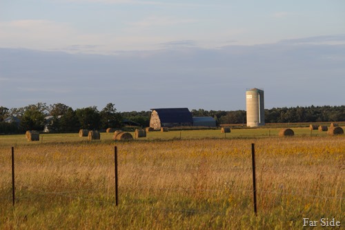 The old barn