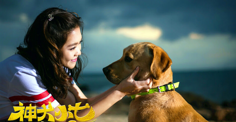 Hero Dog 2 China Drama