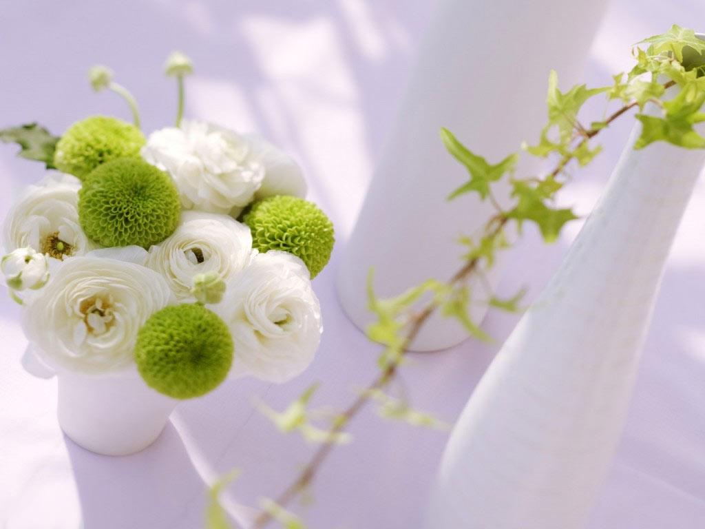 White wedding flowers HD