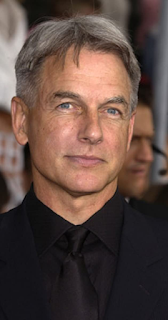 Mark Harmon Net Worth, Age, Wiki, Biography, Height, Dating, Family, Career